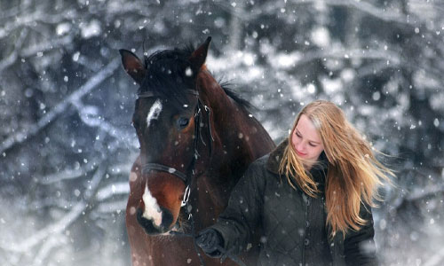 Helps in building relationships - 7 Benefits of Equine Therapy