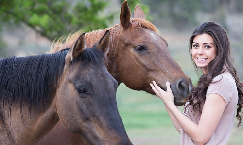 Relieves stress - 7 Benefits of Equine Therapy