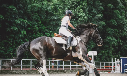 Develop confidence - Life Lessons You Can Learn from Horse Riding